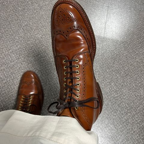 Alden Wingtip Boot in Horween Amaretto Shell Cordovan