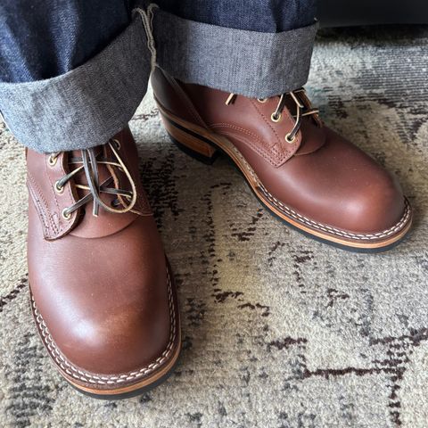 Nicks Robert in Seidel 1964 Brown