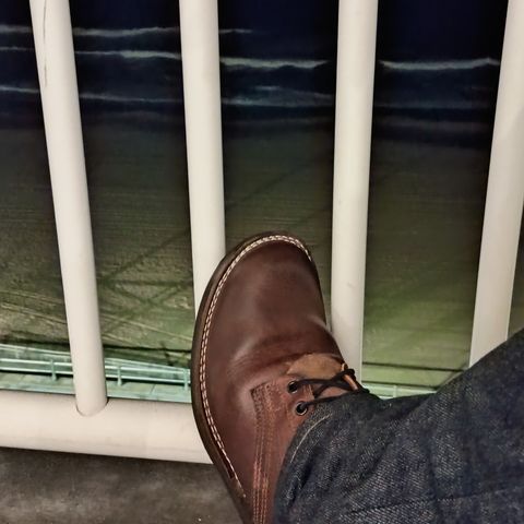 Nicks Lace Up Heritage in Italian Brown Cypress