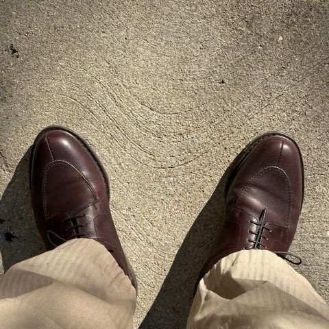 Paraboot Avignon in Lisse Cafe