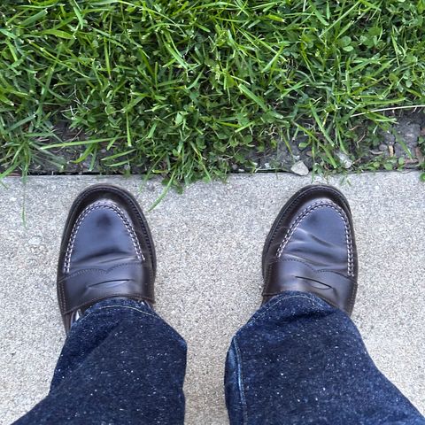 Alden Leisure Handsewn Moccasin in Horween Color 8 Shell Cordovan