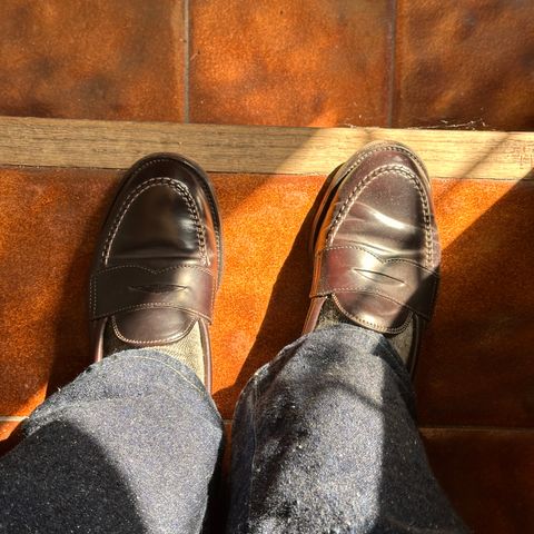 Alden Leisure Handsewn Moccasin in Horween Color 8 Shell Cordovan