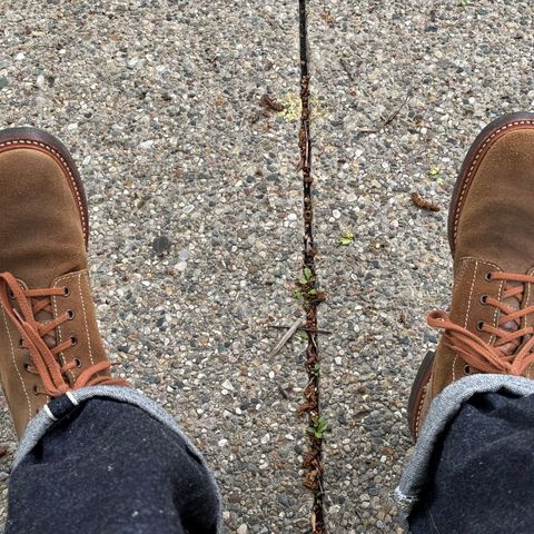 John Lofgren M-43 Service Shoes in Horween Natural Chromexcel Roughout