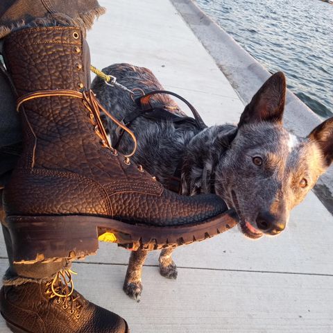 JK Boots Superduty in Shadow Bison