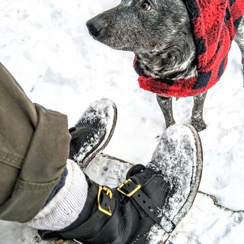 Nicks TankerPro in Seidel 1964 Black Smooth