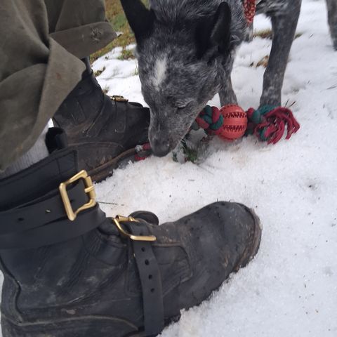 Nicks TankerPro in Seidel 1964 Black Smooth