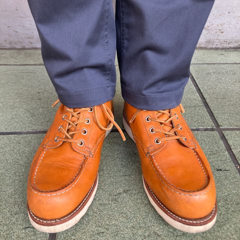 Red Wing 6-Inch Classic Moc in S.B. Foot Gold Russet Sequoia