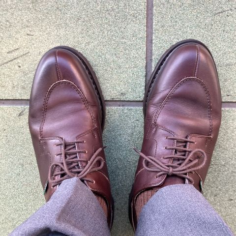 Paraboot Avignon in Lisse Cafe