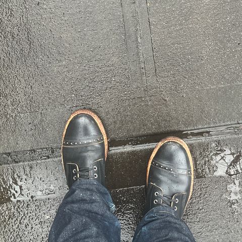 Oak Street Bootmakers Field Boot in Horween Black Teacore Chromexcel & Horween Black Chromexcel