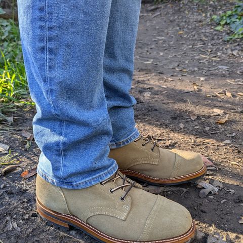 Truman Cap Toe Boot in Coyote Roughout