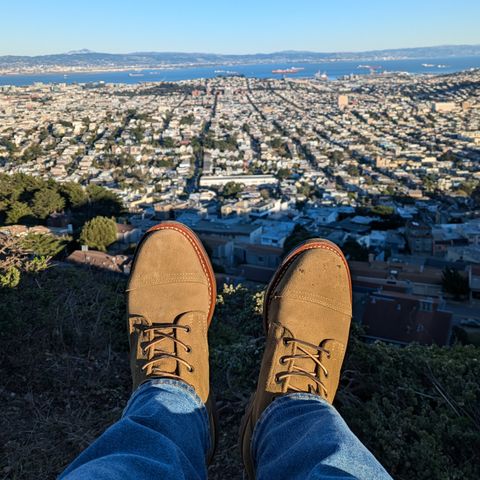 Truman Cap Toe Boot in Coyote Roughout