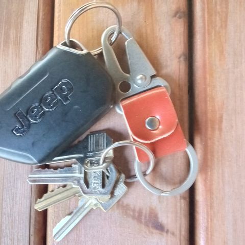 Lost Dutchman Keychain in Random Shell Cordovan