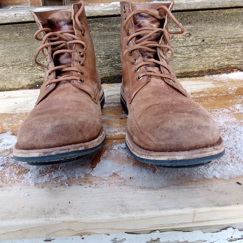 Oak Street Bootmakers Trench Boot in Maryam Muschio Cavallo