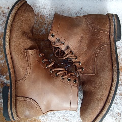 Oak Street Bootmakers Trench Boot in Maryam Muschio Cavallo