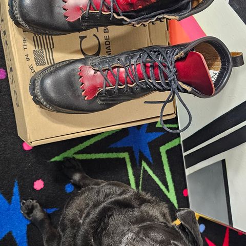 Nicks MTO in Horween Black Waxed Flesh