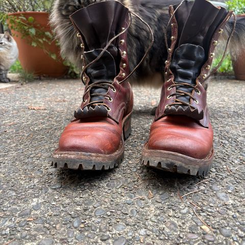 Frank's Front Range in Wickett & Craig Chestnut Oiled Latigo & Wickett & Craig Tan Oiled Latigo & Wickett & Craig Navy Traditional Harness