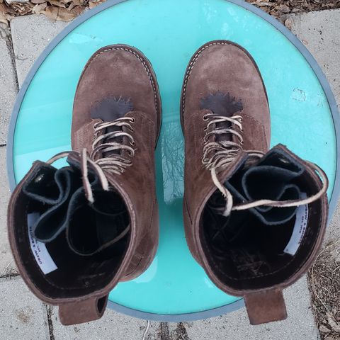Drew's 10-inch Logger in Brown Roughout