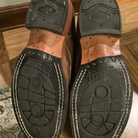 Nicks Robert in Horween Orange Predator