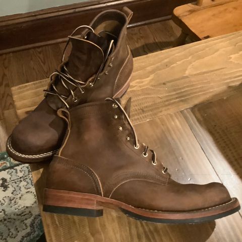 Nicks Robert in Horween Orange Predator