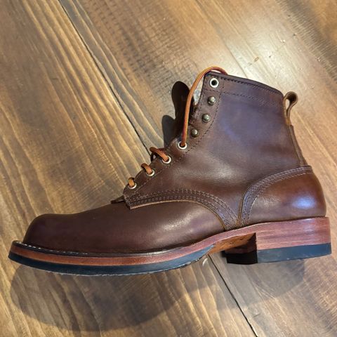 Nicks Robert in Horween Orange Predator