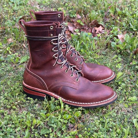 Nicks Falcon in Italian Brown Cypress