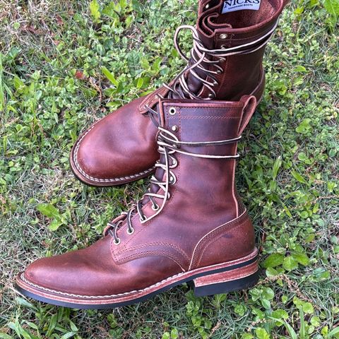 Nicks Falcon in Italian Brown Cypress