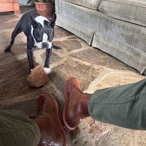 Alden Tanker Boot in Horween Ravello Shell Cordovan