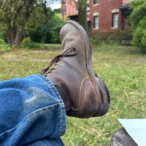 Nicks Falcon in Horween Brown Chromexcel
