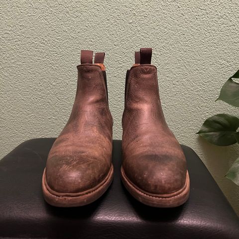 Meermin Chelsea Boot in C.F. Stead Gaucho Waxed Kudu