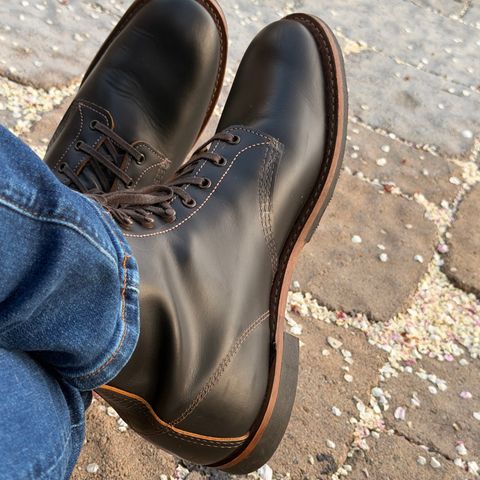 Red Wing Beckman Flatbox in Red Wing Black klondike