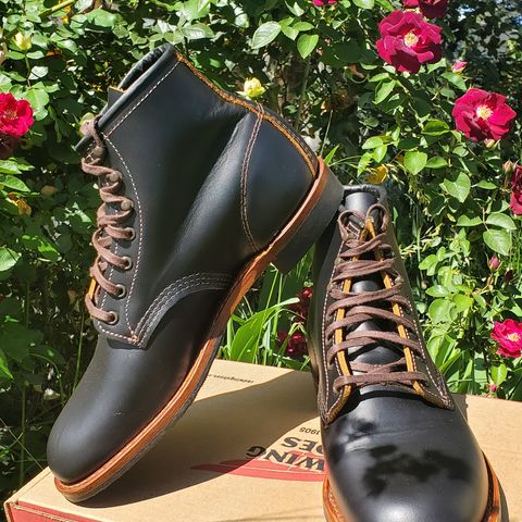 Red Wing Beckman Flatbox in S.B. Foot Black Klondike