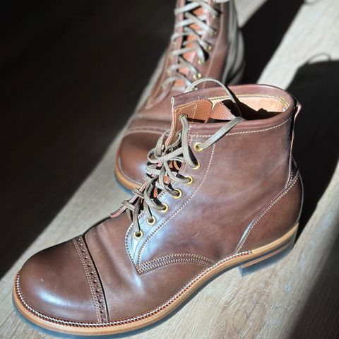 Iron Boots 5515 in Maryam Brown Shell Cordovan