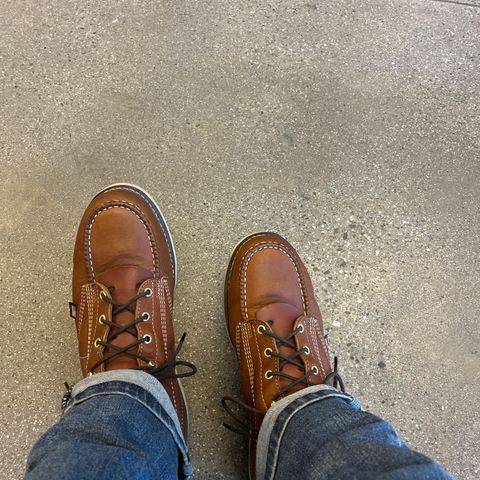 Thorogood American Heritage 6" Moc Toe in Tobacco Gladiator Oil-Tanned