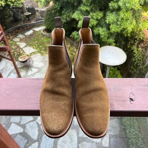 Viberg Chelsea in C.F. Stead Snuff Suede