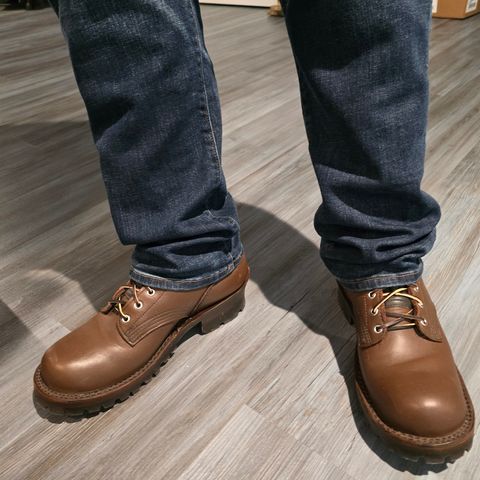JK Boots Superduty in Seidel Mocha Oil Tan