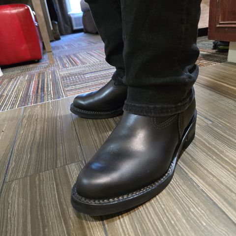 Wesco Morrison in Seidel Black Tie Domain