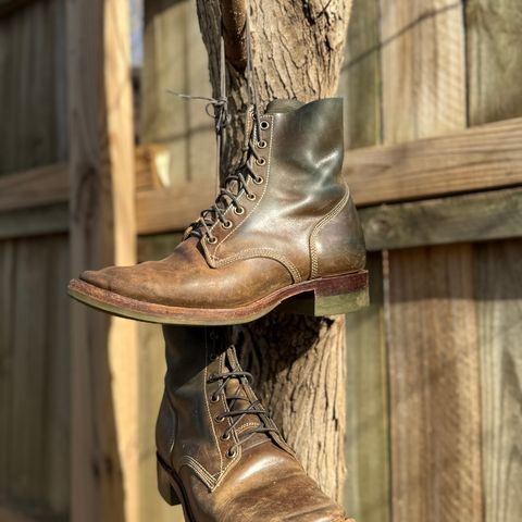 Willie's Handmade Boots Boondocker in Maryam Olive Horsebutt