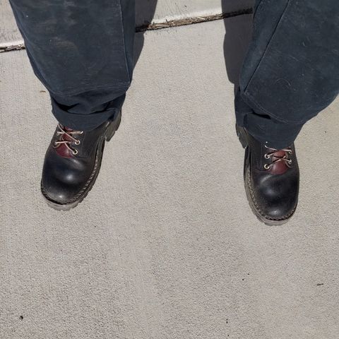 Nicks Urban Logger in Horween Black Waxed Flesh