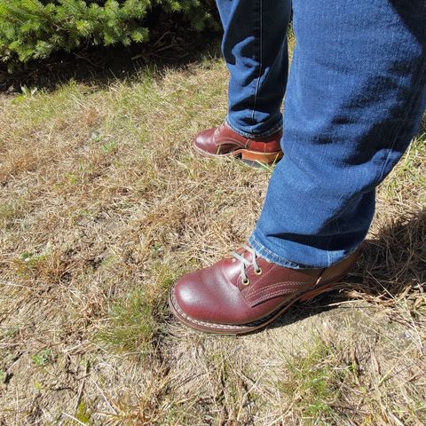 Nicks MTO in Horween Tan Waxed Flesh