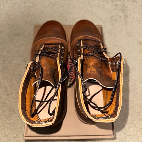 Red Wing Iron Ranger in S.B. Foot Copper Rough and Tough