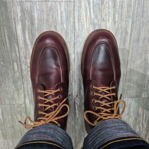 Junkard Orion in Horween Color 8 Chromexcel
