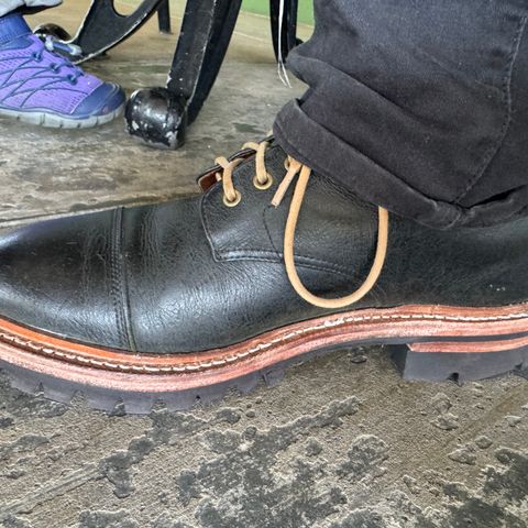 Grant Stone Cap Toe Boot in C.F. Stead Forest Kudu