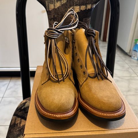 Truman Plain Toe Boot in Coyote Roughout