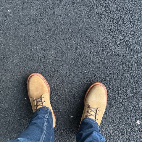Truman Plain Toe Boot in Coyote Roughout