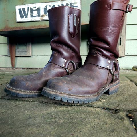 Wesco Harness in Seidel Brown Domain