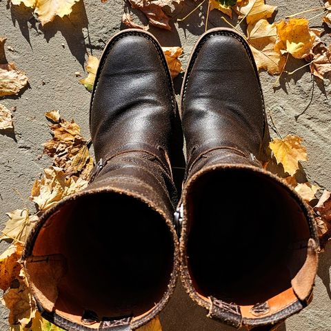 Wesco Standard And Strange Collab: The Quick Striker in Horween Olive Waxed Flesh