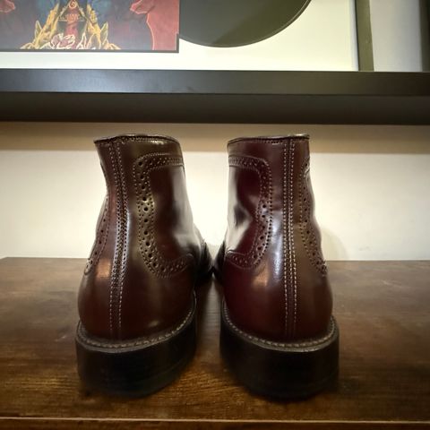 Alden Wingtip Boot in Horween Color 8 Shell Cordovan