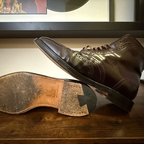 Alden Wingtip Boot in Horween Color 8 Shell Cordovan