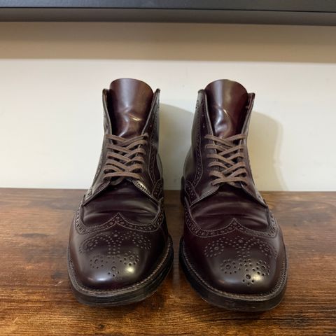 Alden Wingtip Boot in Horween Color 8 Shell Cordovan