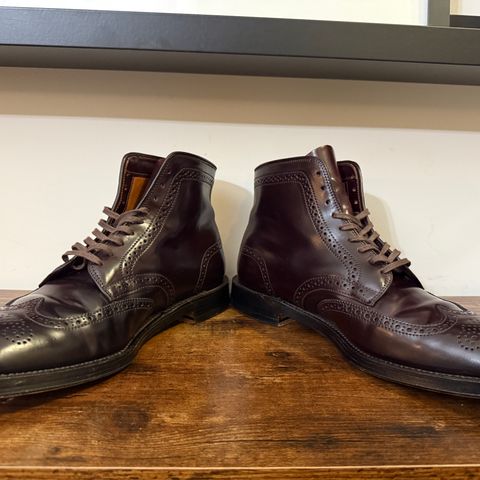 Alden Wingtip Boot in Horween Color 8 Shell Cordovan